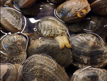 a_700504985137311747.gif