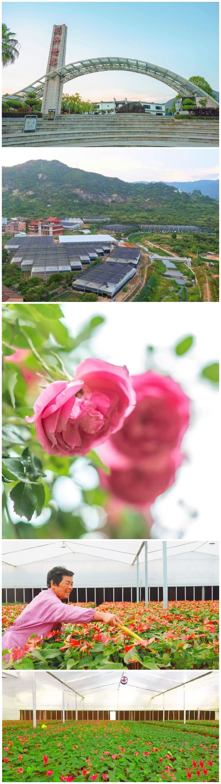 老区1510.jpg