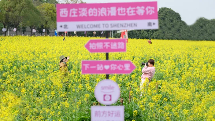 1750989748591022.png 二1446.png